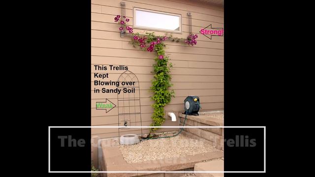 Find your Garden Trellis on Amazon before you Plant your Clematis Garden смотреть онлайн