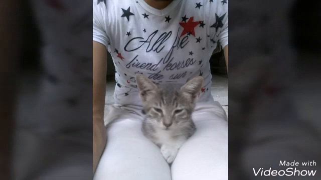بحبك ياولفي بحبك смотреть онлайн