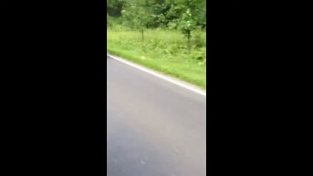 Moped from hell full load смотреть онлайн