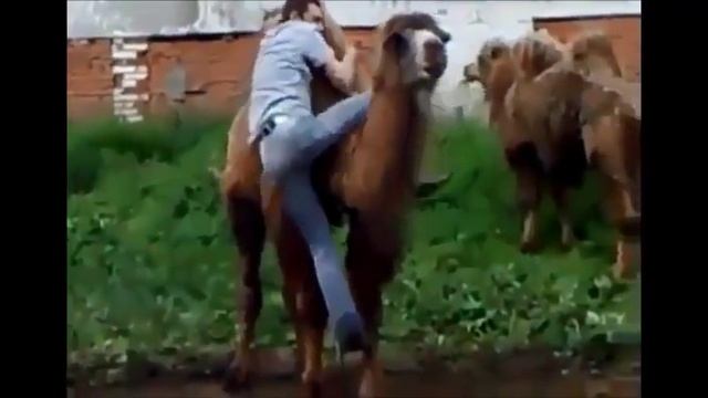Она тебя сожрет смотреть онлайн