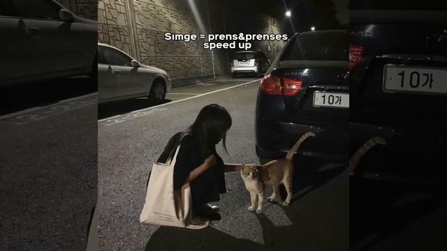 Simge - prens&prenses speed up😽 смотреть онлайн