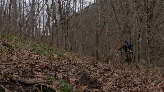 Адыгея.Водопады Руфабго БЕСПЛАТНО.Водопад до которого не доходят люди смотреть онлайн