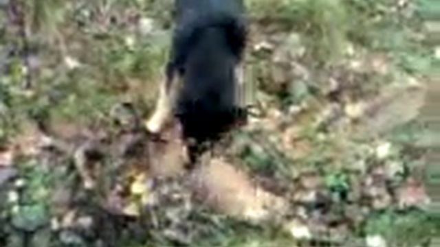 Видео0000 смотреть онлайн