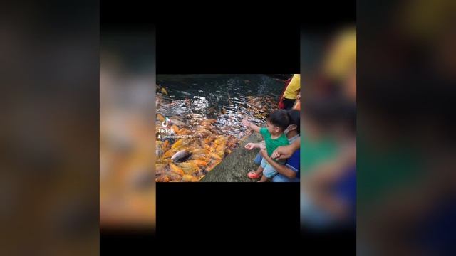 Family Trip to Klaten City, Middle Java смотреть онлайн