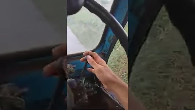 Суданка!! Очень ранний покос смотреть онлайн