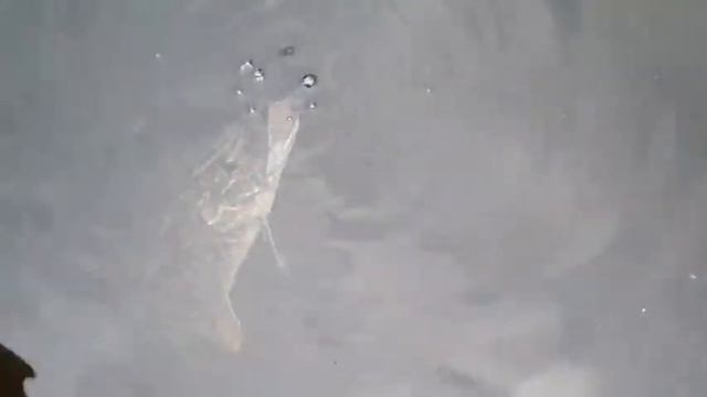 Кепка хулиганка рыбачит смотреть онлайн