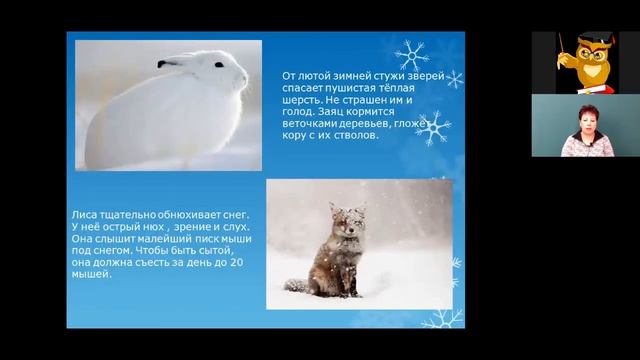 Окружающий мир 2 класс 16-17 недели. В гости к зиме смотреть онлайн