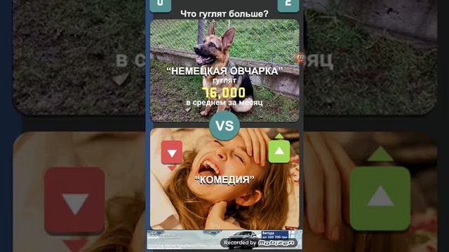 Игра Что больше гуглят смотреть онлайн