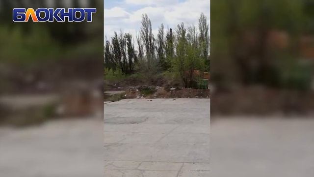 «Площадка с коммунальными отходами источает зловонный запах и вредит экологии»: волгодонцы смотреть онлайн