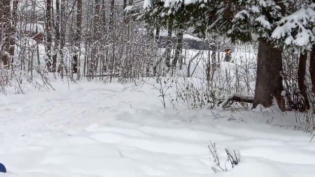 Самодельный детский снегоход.2