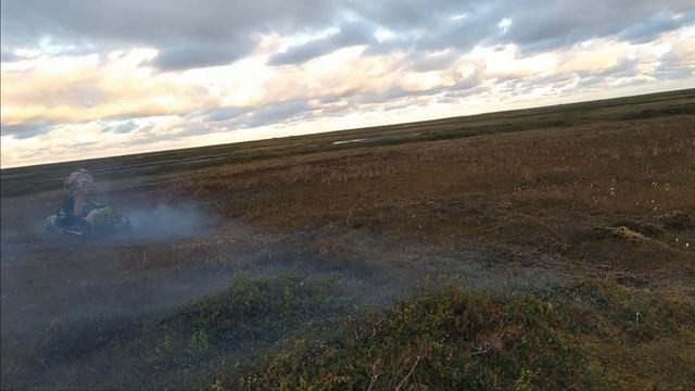 Буран утопили в болоте. Едем за морошкой. охота рыбалка морошка болото