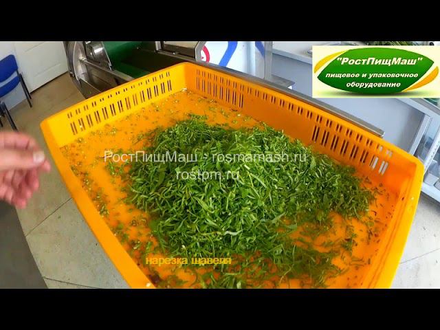 Шинковка щавеля на RY-80 от РостПищМаш смотреть онлайн