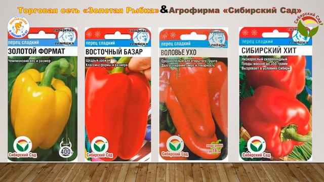 Семена овощей Сибирский сад смотреть онлайн