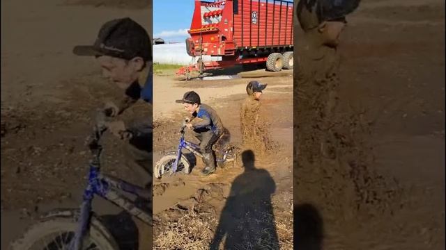 Мамка вряд-ли оценит. Видео приколы