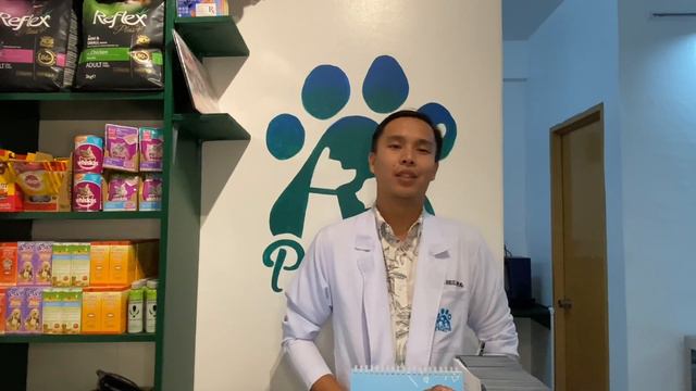 Current Situation of Philippine Pets’ Healthcare — One-on-One Interview with Dr. Norbert Robles смотреть онлайн