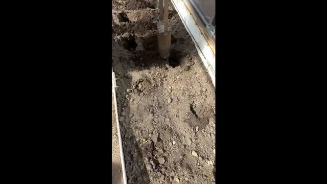 Как работает самодельная сажалка смотреть онлайн