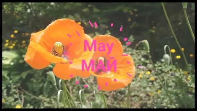 Месяца на английском языке.Учим названия всех 12 месяцев на английском языке смотреть онлайн