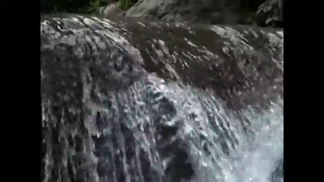 Rəşid Kamiloğlu Aşıq İlqar Qələmçəli смотреть онлайн