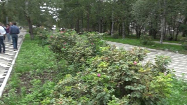 С учетом мнения жителей смотреть онлайн