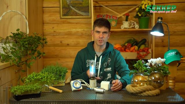 РОЛИК ПРО СВЕТ Да будет свет. Возвращаем лето растениям. смотреть онлайн