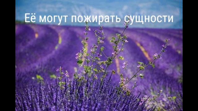 СЕДЬМАЯ ЧАКРА. ФИОЛЕТОВАЯ. ПРИНИМАЕТ НИЗХОДЯЩИЙ ПОТОК. смотреть онлайн