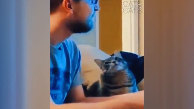 Смешные коты #2 2021 приколы с животными / баги котов / смотреть кота смотреть онлайн