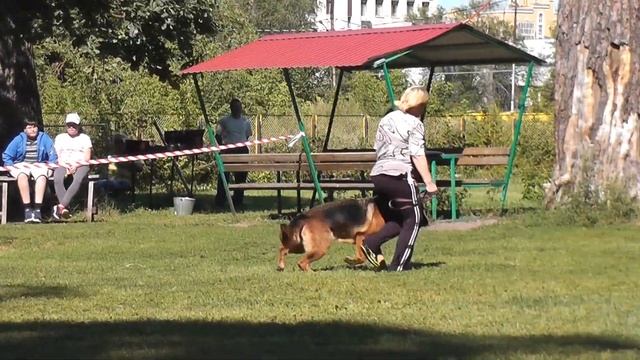 АНТЕНОР ХОФ СИНДИ КРОУФОРД смотреть онлайн