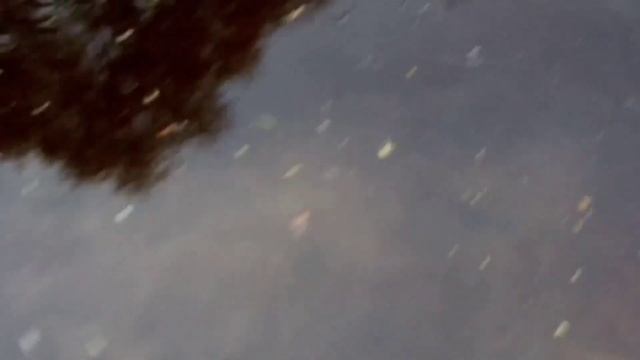 Рыбалка на реке Унжа?? смотреть онлайн