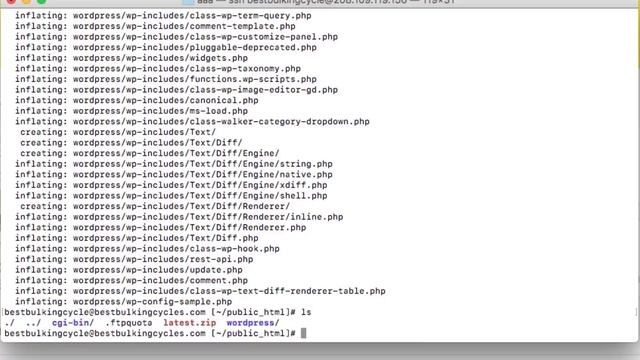 Reinstall WordPress Remove Hacks Speed Up Via SSH смотреть онлайн