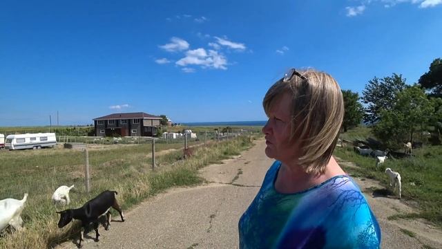 ПРОДАЮТСЯ ЗЕМЕЛЬНЫЕ УЧАСТКИ КРАСНОДАРСКИЙ КРАЙ ТЕМРЮКСКИЙ РАЙОН ПОСЕЛОК ВЕСЕЛОВКА смотреть онлайн