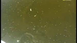 Рыбалка Щербаковы Выпуск 27 Ловля окуня на джиг приманки