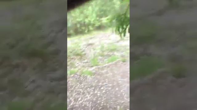 Вот почему нельзя на рыбалку без машина смотреть онлайн