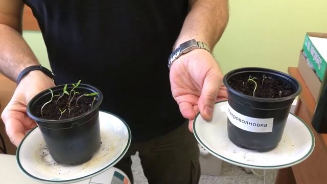 Эксперимент. Микроволновка. День 12 смотреть онлайн