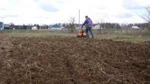 Сравнение работы культиватора и фрезы мотоблока МТЗ Беларус 09