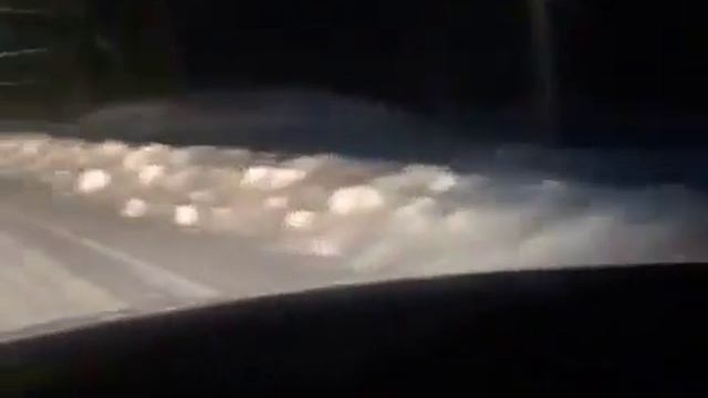 «Я сказал, Хвостатый»: приморец встретил тигра в одном из районов края смотреть онлайн