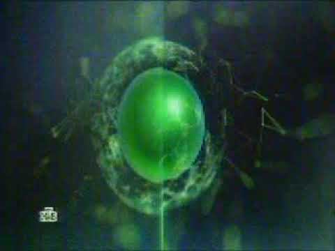 Рекламные блоки и анонсы | НТВ. 01.06.2017 смотреть онлайн