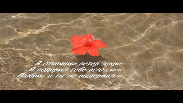 Притча О Любви Цветок и Ветер смотреть онлайн