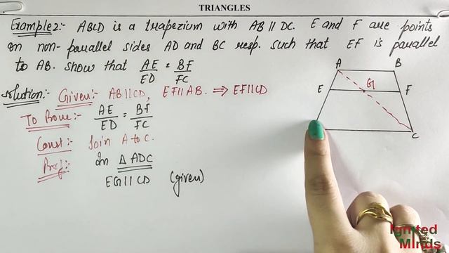 Class 10th Maths Chapter 6 | Example 1, 2 and 3 | Triangles | NCERT смотреть онлайн