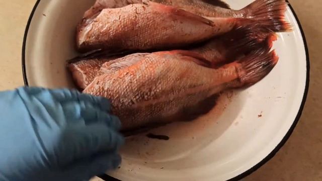 Как приготовить морского окуня в духовке. Быстрый и простой рецепт смотреть онлайн