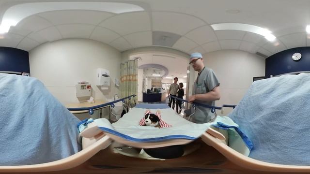 Multivrs 360° Medical Experience смотреть онлайн