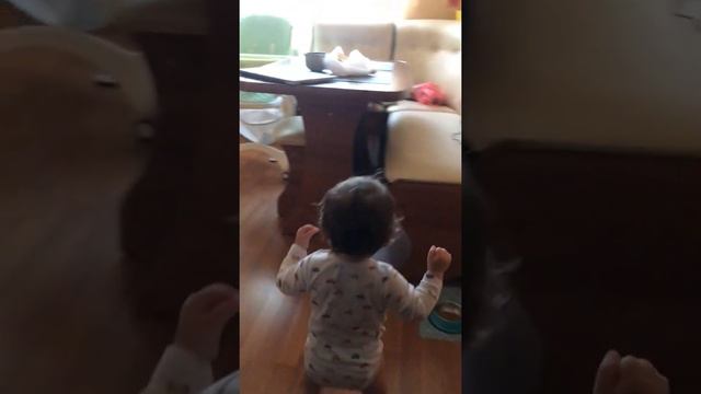 16.08.2019 топ топ топает малыш смотреть онлайн