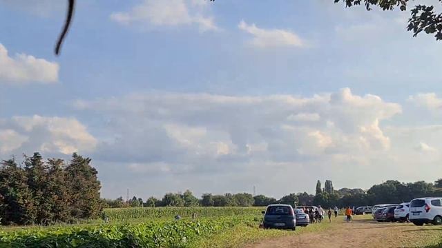 Собирали картошку и фасоль в Германии смотреть онлайн