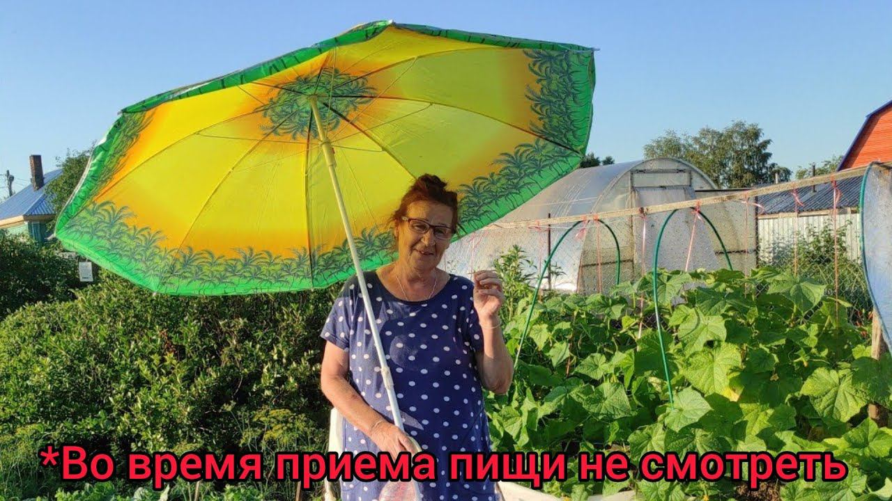 30.07.2023 Дом съедает грибок/танцы