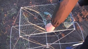 Раколовка книжка зонтик своими руками // розыгрыш // как сделать раколовку