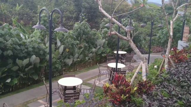 Kafe Monstera Kota Batu: Must visit place in Batu 2020 смотреть онлайн