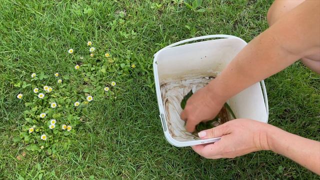 How I live with nature in my daily life смотреть онлайн