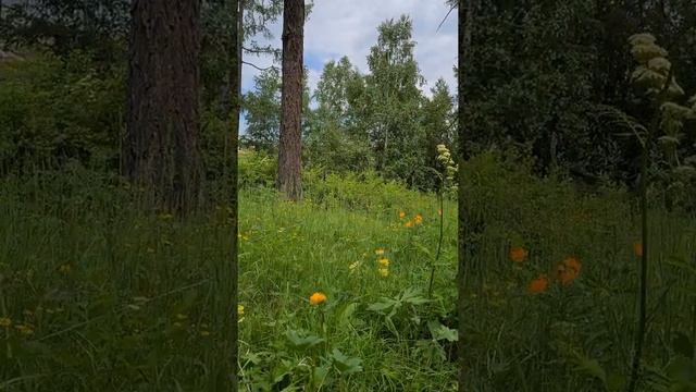 Я выйду за город... смотреть онлайн
