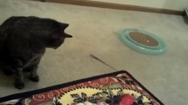 Ziggy's favorite game смотреть онлайн