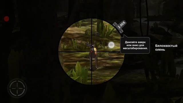 DEER HUNTER CLASSIC [HACK Money] смотреть онлайн