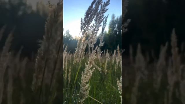 Стихи Родина Русь смотреть онлайн